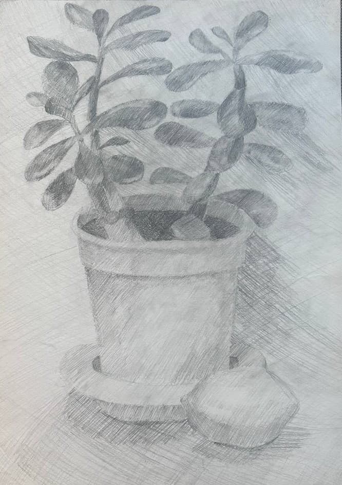 A Living Corner in Strokes