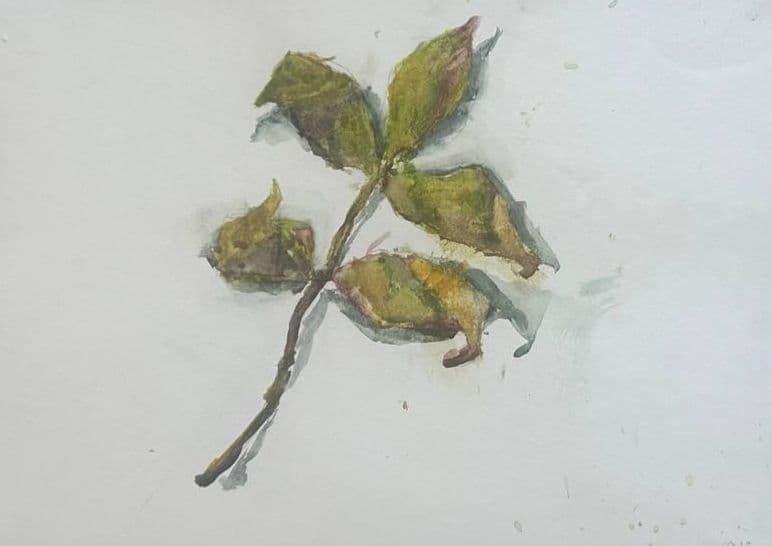 Autumn Remnant