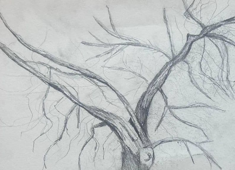 Reaching Branches