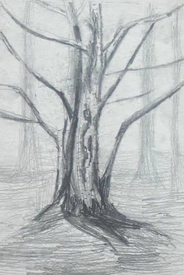 Rooted Silence