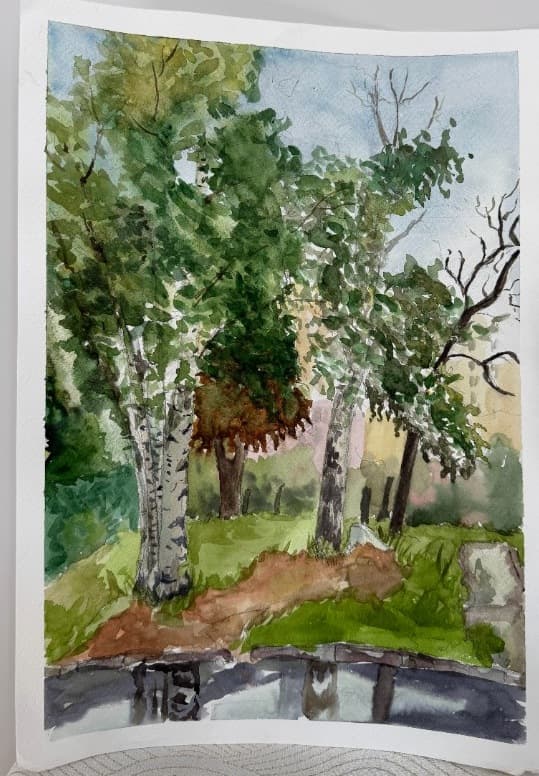 Birches Above the Water
