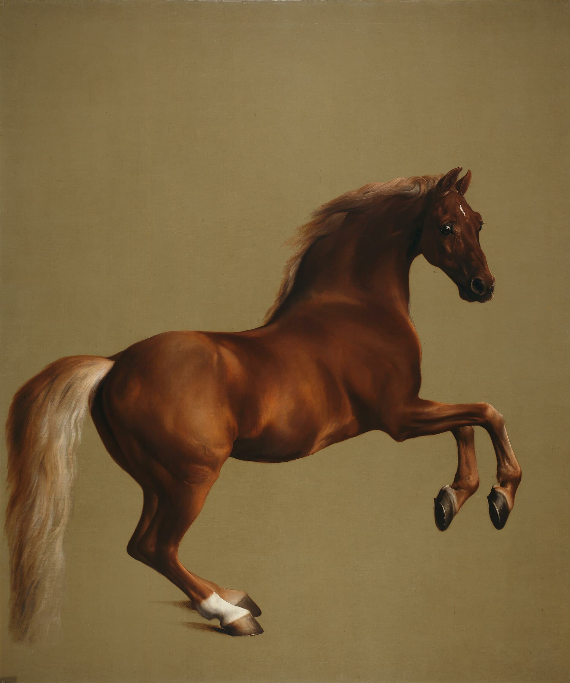 Whistlejacket Steals the Show: Stubbs at the National Gallery
